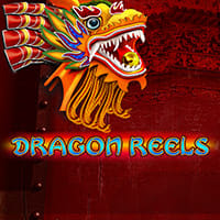 Dragon Reels in slots_nuovi