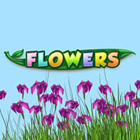 Flowers in TOPNETENT