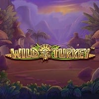 Wild Turkey in TOPNETENT