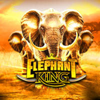 Elephant King in IGT