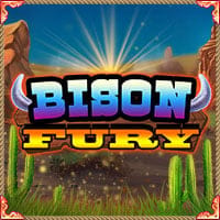 Bison Fury in Providers