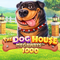 The Dog House Megaways 1000 in slots_nuovi