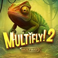 Multifly 2 in All Games