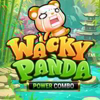 Wacky Panda Power Combo in Nuovi giochi