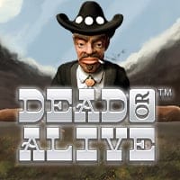Dead or Alive in TOPNETENT