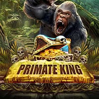 Primate King in Jackpots